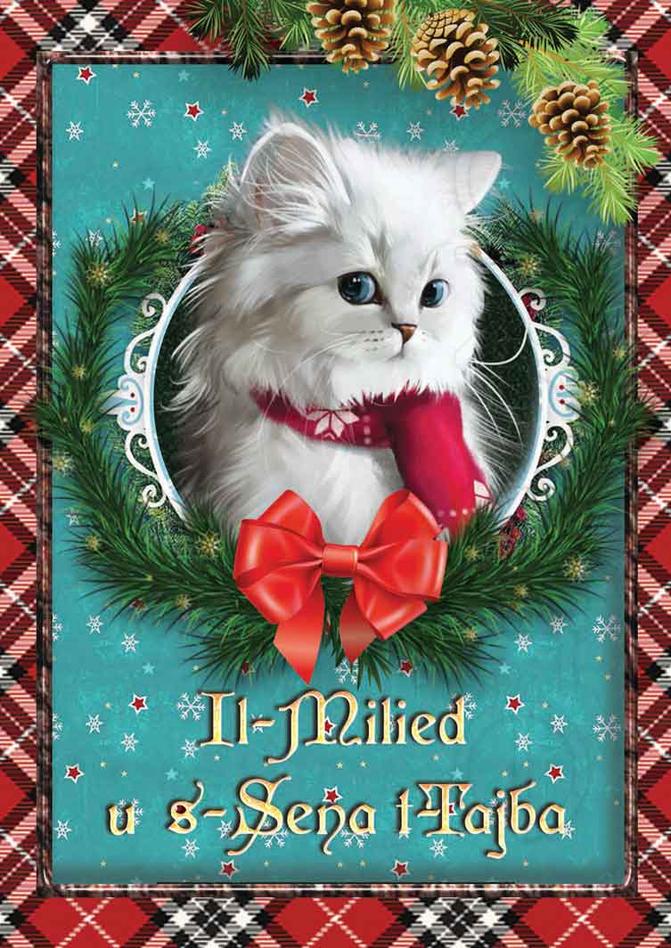 Christmas card (with white cat)