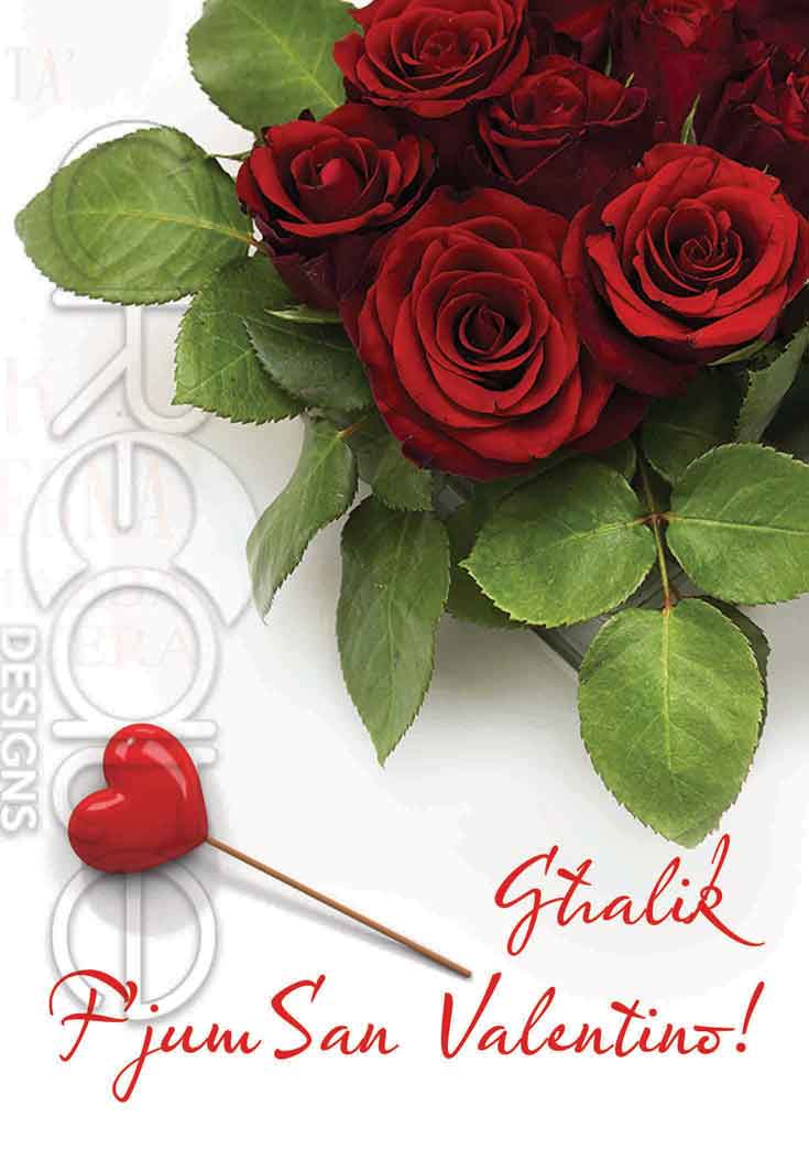 St.Valentine's Card (with Red Roses on a white background)